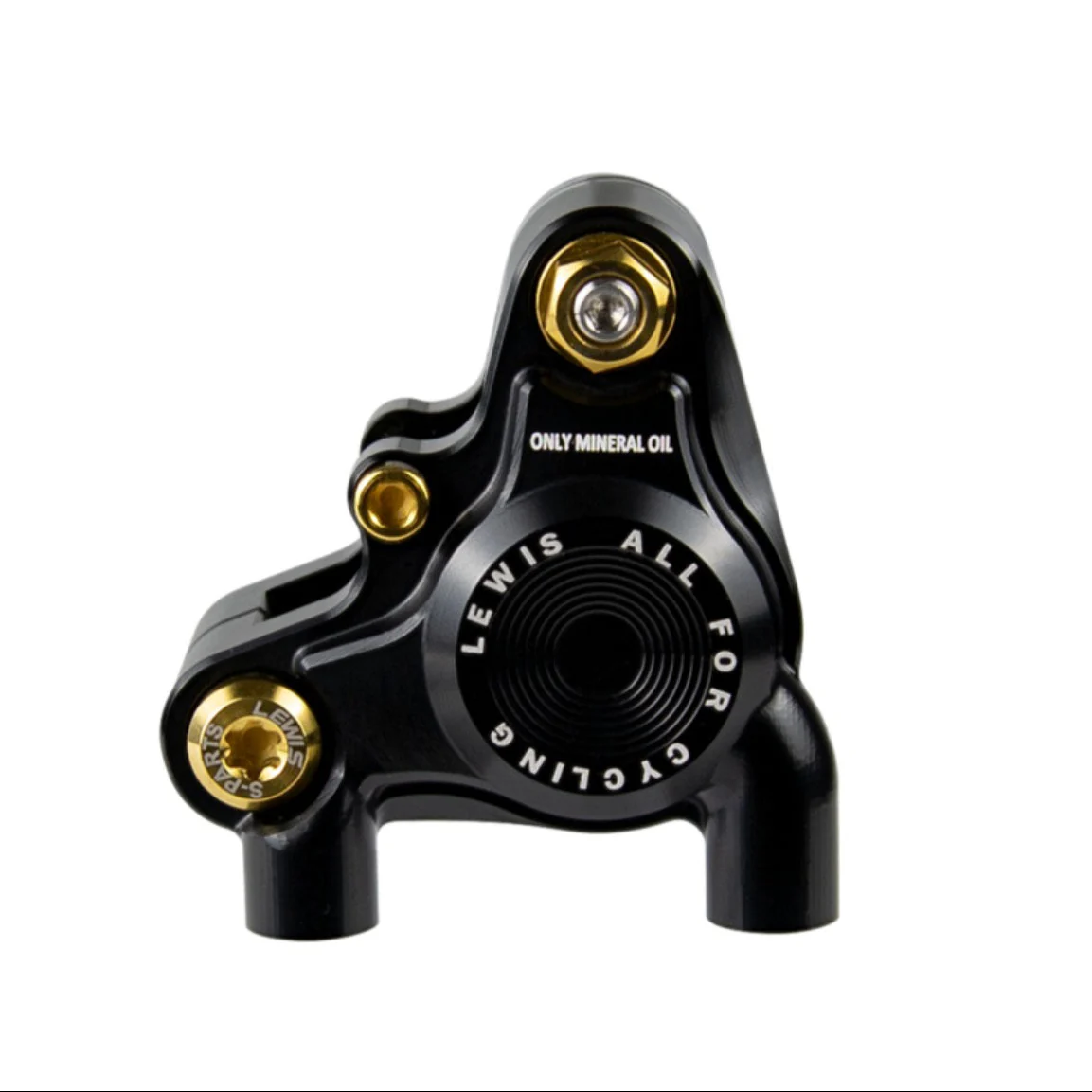 Lewis - BB2 SS Steel / BB2 Ti Road Gravel bike - flat mount caliper Lewis