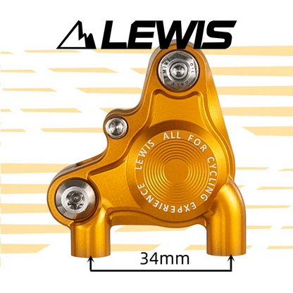 Lewis - BB2 SS Steel / BB2 Ti Road Gravel bike - flat mount caliper Lewis